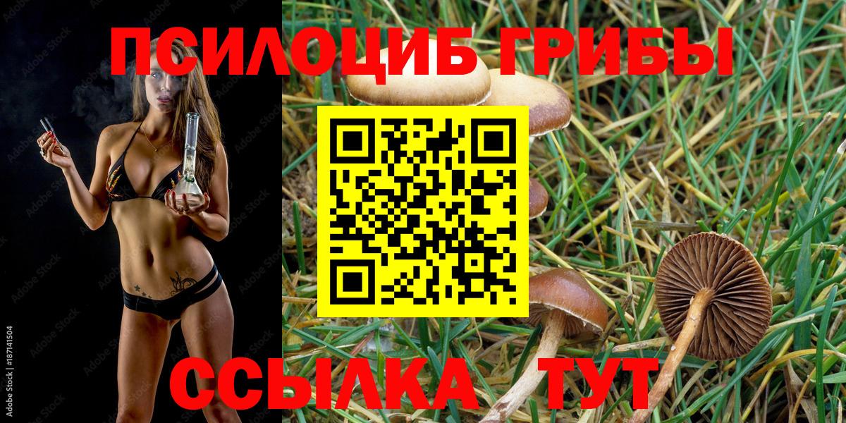 Псилоцибиновые грибы мухоморы  Вход с VPN  Кириши 